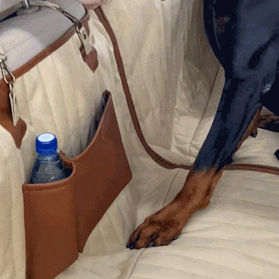 Sturdy Car Dog Hammock With Side Flaps (2)